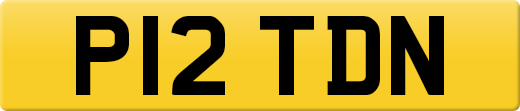 P12TDN